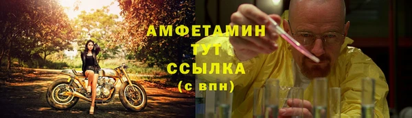 молекула духа Алексеевка