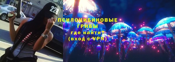 молекула духа Алексеевка
